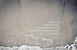 开云体育中国-蓝色狂飙，2026世界杯G组焦点战，挪威大胜印度，哈基米用控球谱写唯一篇章