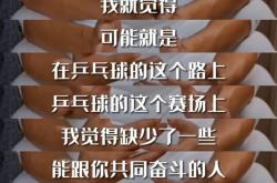 开云sport-德国乒乓球队血洗韩国乒乓球队，张继科关键制胜