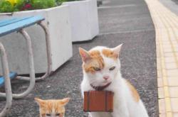 开云体育-新火燎原，辛纳年终总决赛力克心魔，点燃网坛新纪元