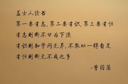 开云sport-卡塞米罗，豪门的地基与洪流中的磐石—从巴西核心到世界杯新势力的实力宣言