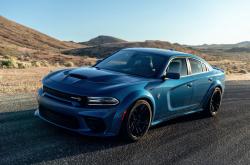 开云体育官网-里程碑之夜，钢铁防线与智慧核心，唯一性如何定义掘金的冠军之路？