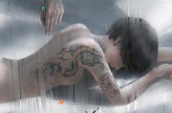 开云sport-北欧的冰与火之间，一位意大利大师的独奏