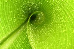 开云体育app-夜战巅峰，佩德里关键连续得分颠覆F1年度争冠格局