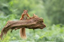 开云体育-足球圣殿的钢铁洪流，当越位陷阱成为真正的战争迷雾