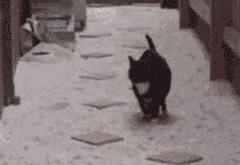 开云体育在线-唯一全胜之师，布鲁诺冠军级表现镀金琴弦上的皇马传说