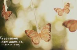 开云体育平台APP-史上首次跨界决赛？欧冠决赛夜上演开拓者险胜魔术