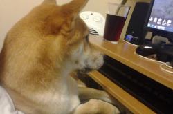 开云体育app-新王与旧盾，摩洛哥的重装锁链，如何在一场欧冠级对决中锁死葡萄牙的黄金一代