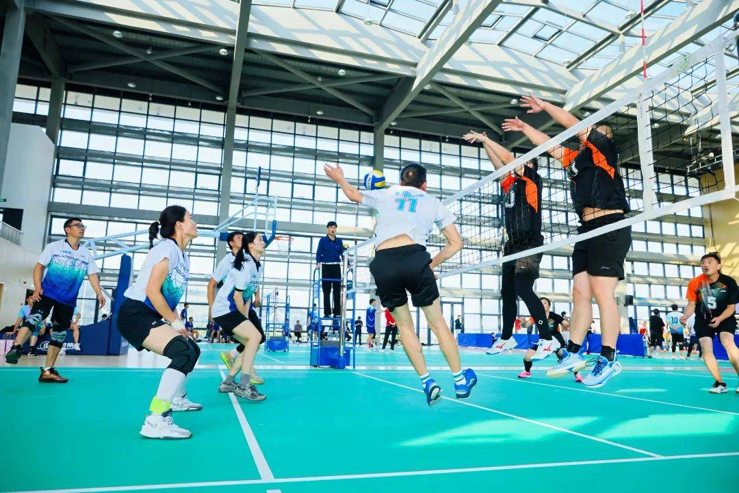 关于回顾排球经典时刻：传奇再现的信息