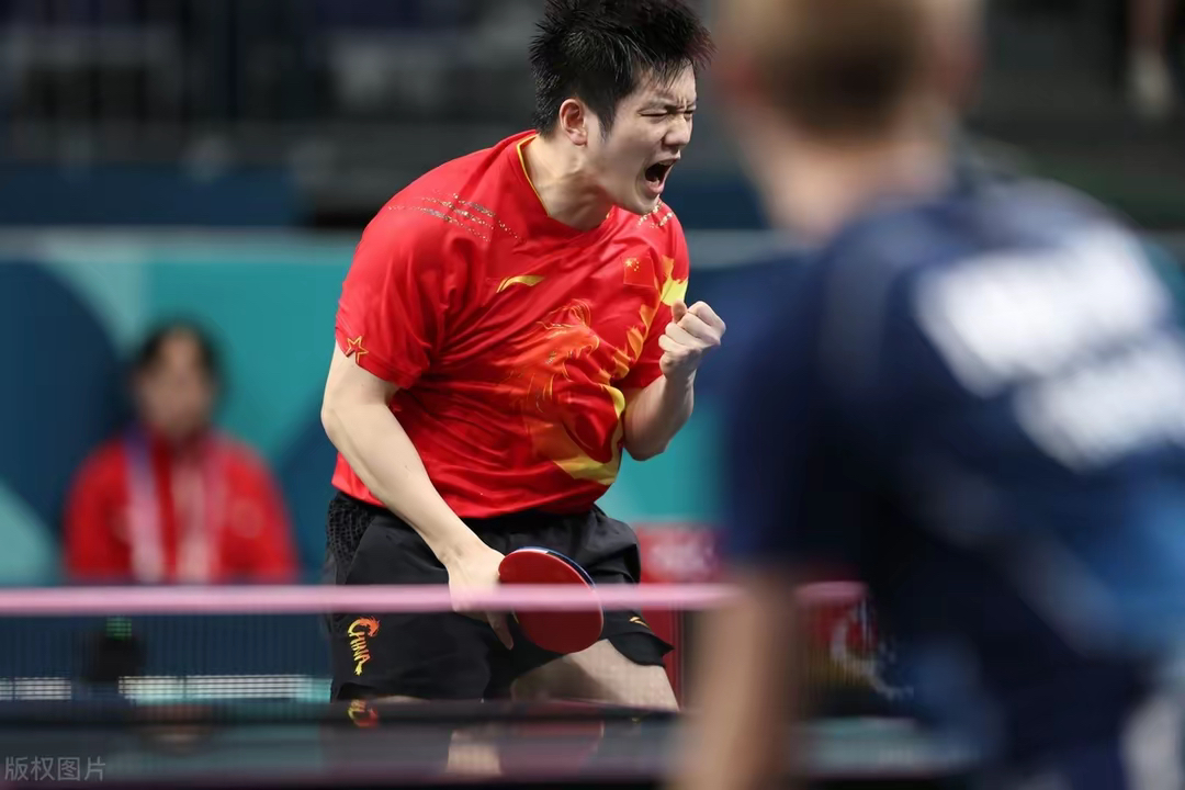 法国队险胜日本队,马龙点燃赛场 法国队险胜日本队,马龙点燃赛场