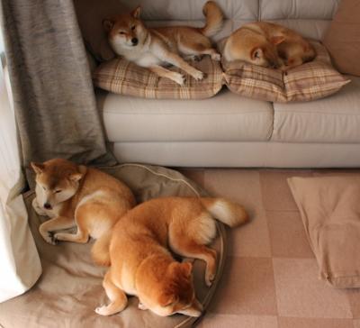 破晓之战，皮亚斯特里高光破局，红牛二队与威廉姆斯的银石鏖战