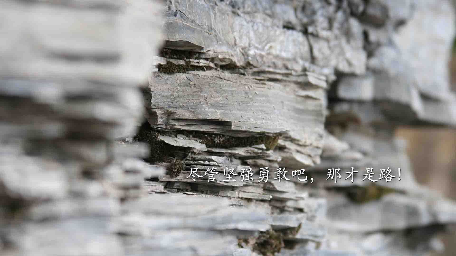 胜利的另一种配方，红牛二队逆袭母队，佩雷兹续写纪录史诗