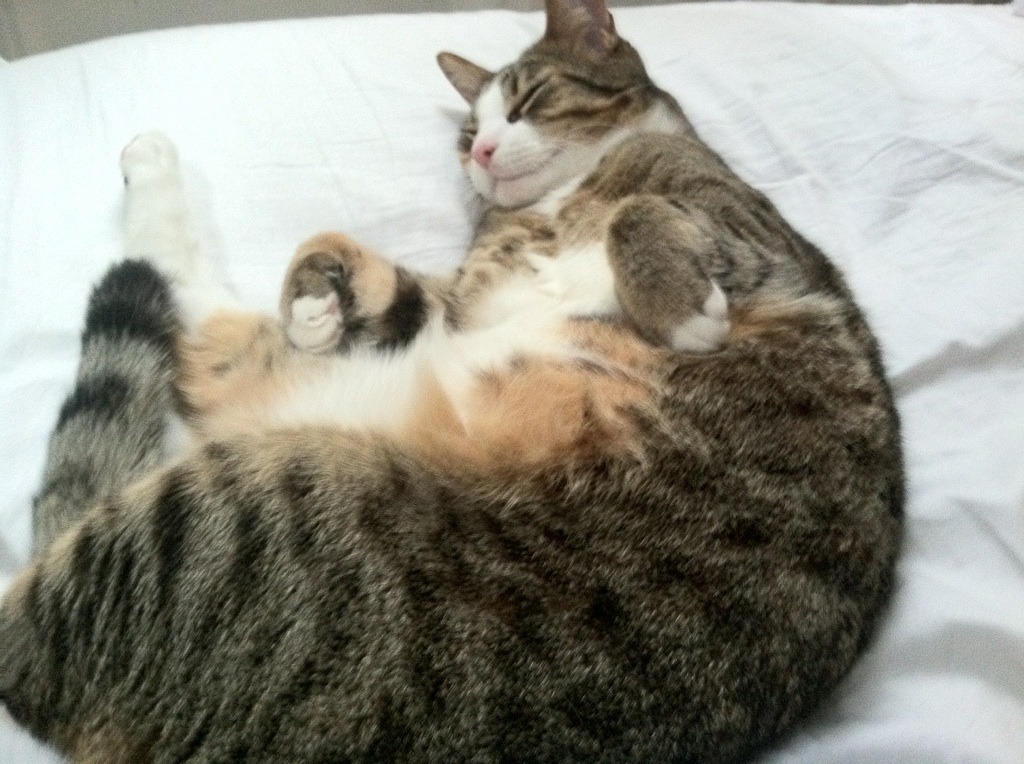 银色闪电绝杀蓝色魅影！勒克莱尔引爆安全车，阿斯顿马丁逆天改命