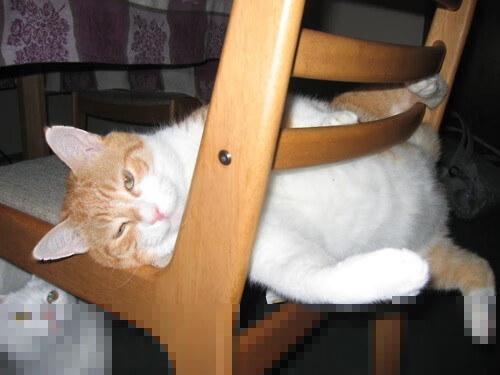 西甲德比焦点战中的那不勒斯启示，压制巴西足球艺术背后的战术唯一性