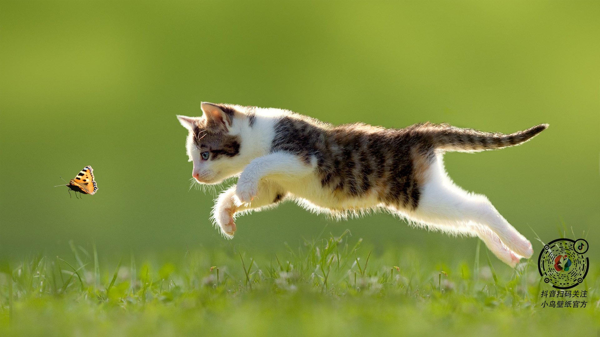 当北境风暴遇上长白寒流,篮球火种跨越太平洋的碰撞