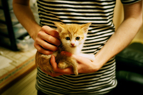 新王加冕,非洲雄狮在都灵撕裂旧秩序,穆勒的悲壮爆发难阻宿命轮转