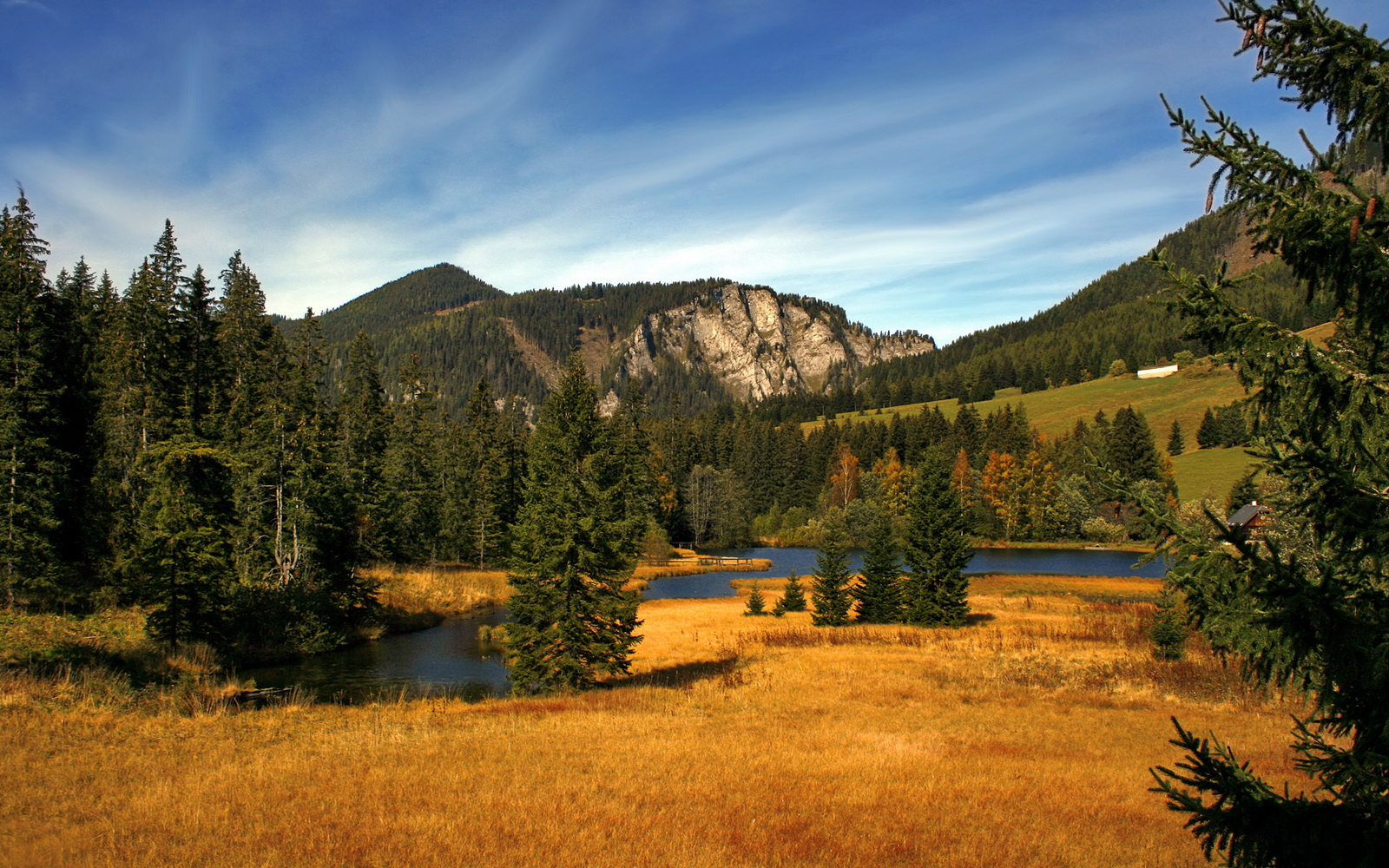 双面格林，北京时间周五早晨，篮球世界的平行狂欢