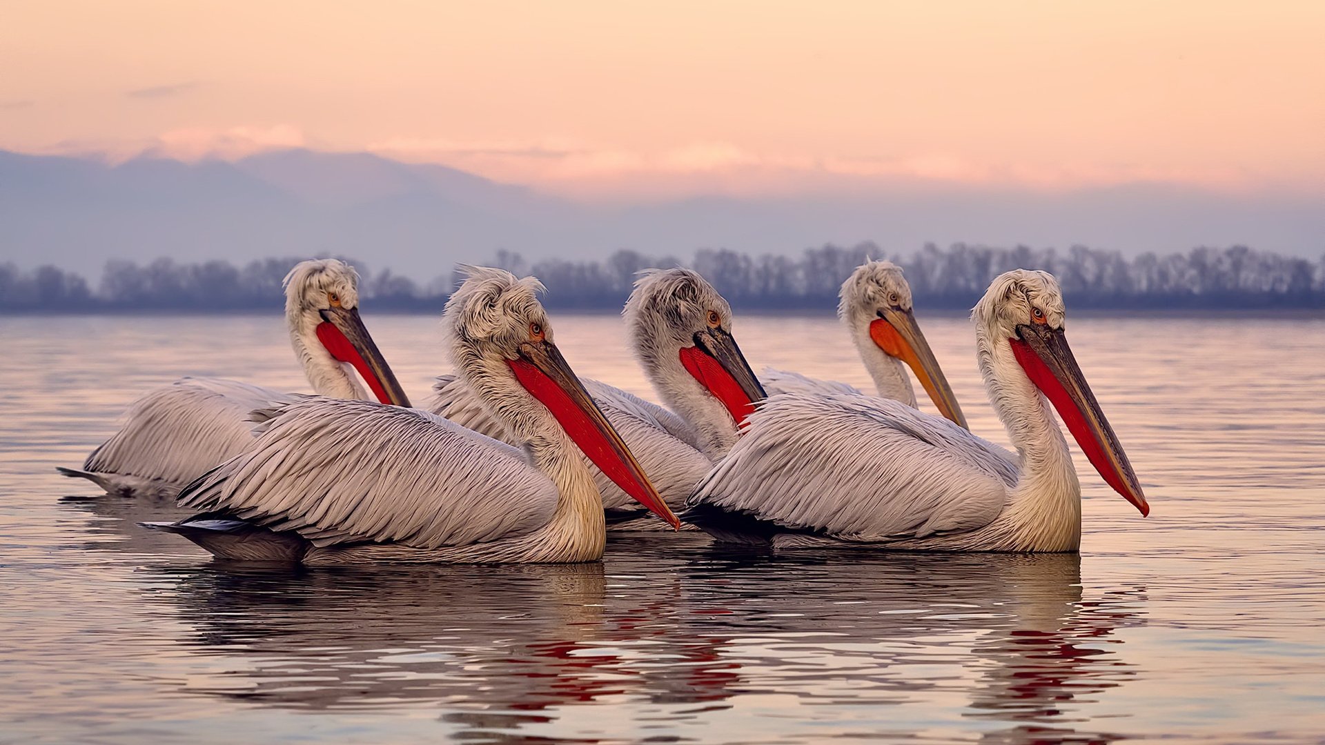 单季双弑旧主！萨拉赫安菲尔德奇迹夜导演利物浦致命突围