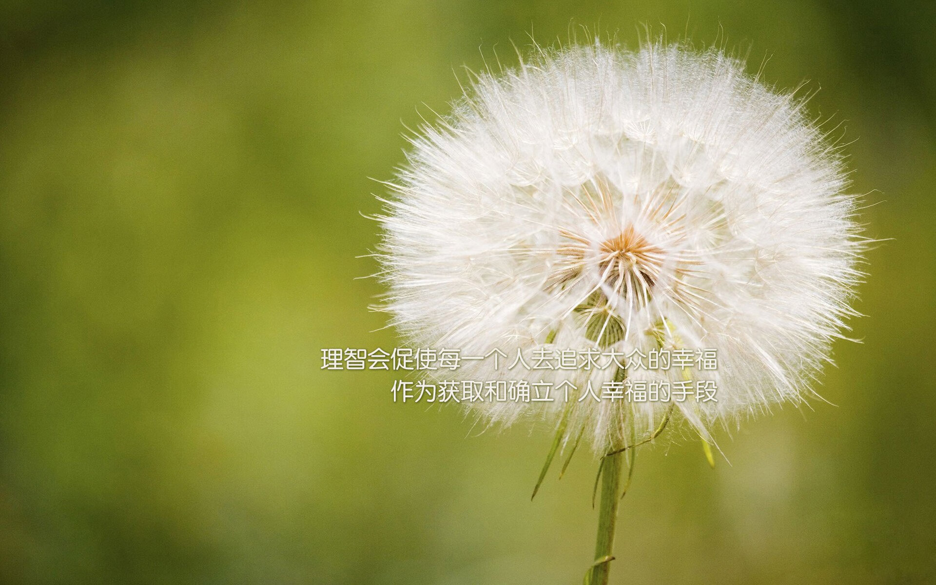 东欧铁骑的沉稳与东亚利刃的锋芒，足球世界的多元交响