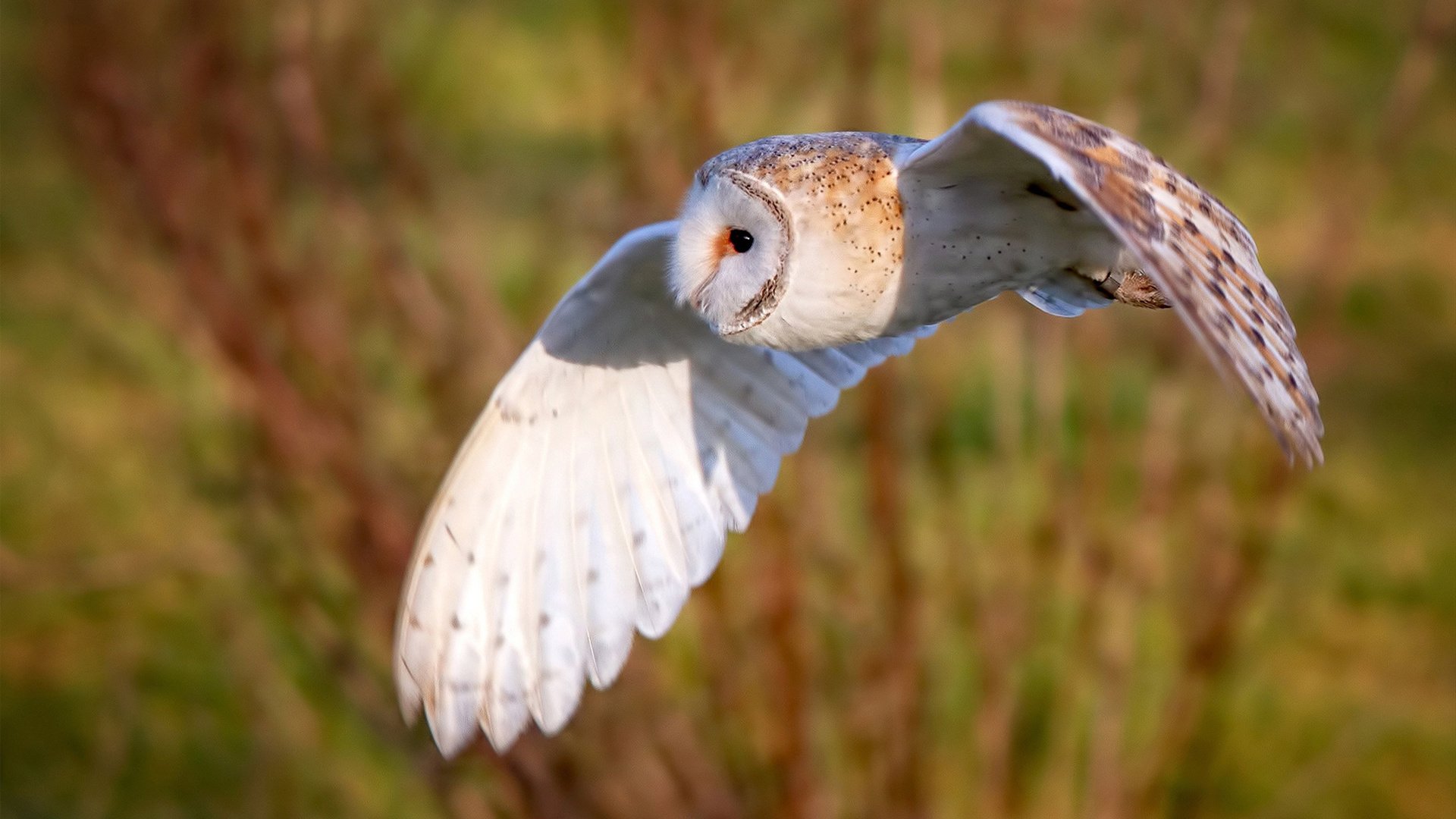 乔治存在感拉满之夜，一记火锅，两个城市，与千千万万个我