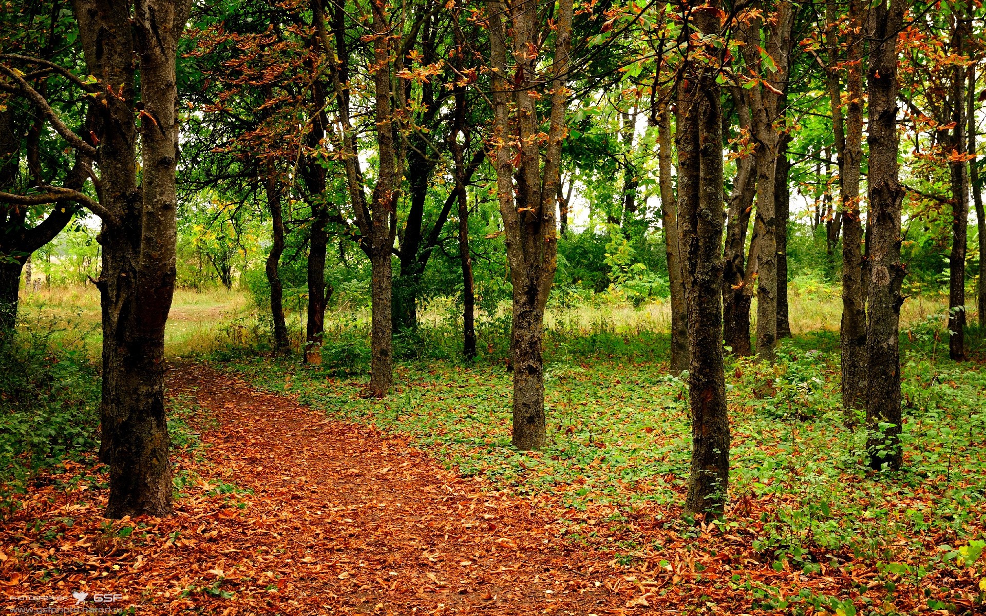 铁血前锋的无声功勋，当劳塔罗在防守端为阿根廷筑起第一道墙