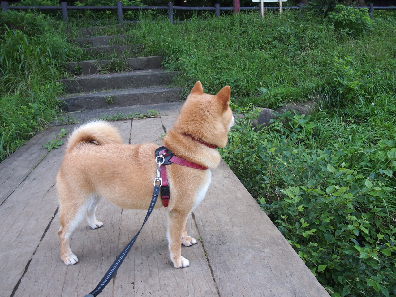 一夜传说，永恒瞬间