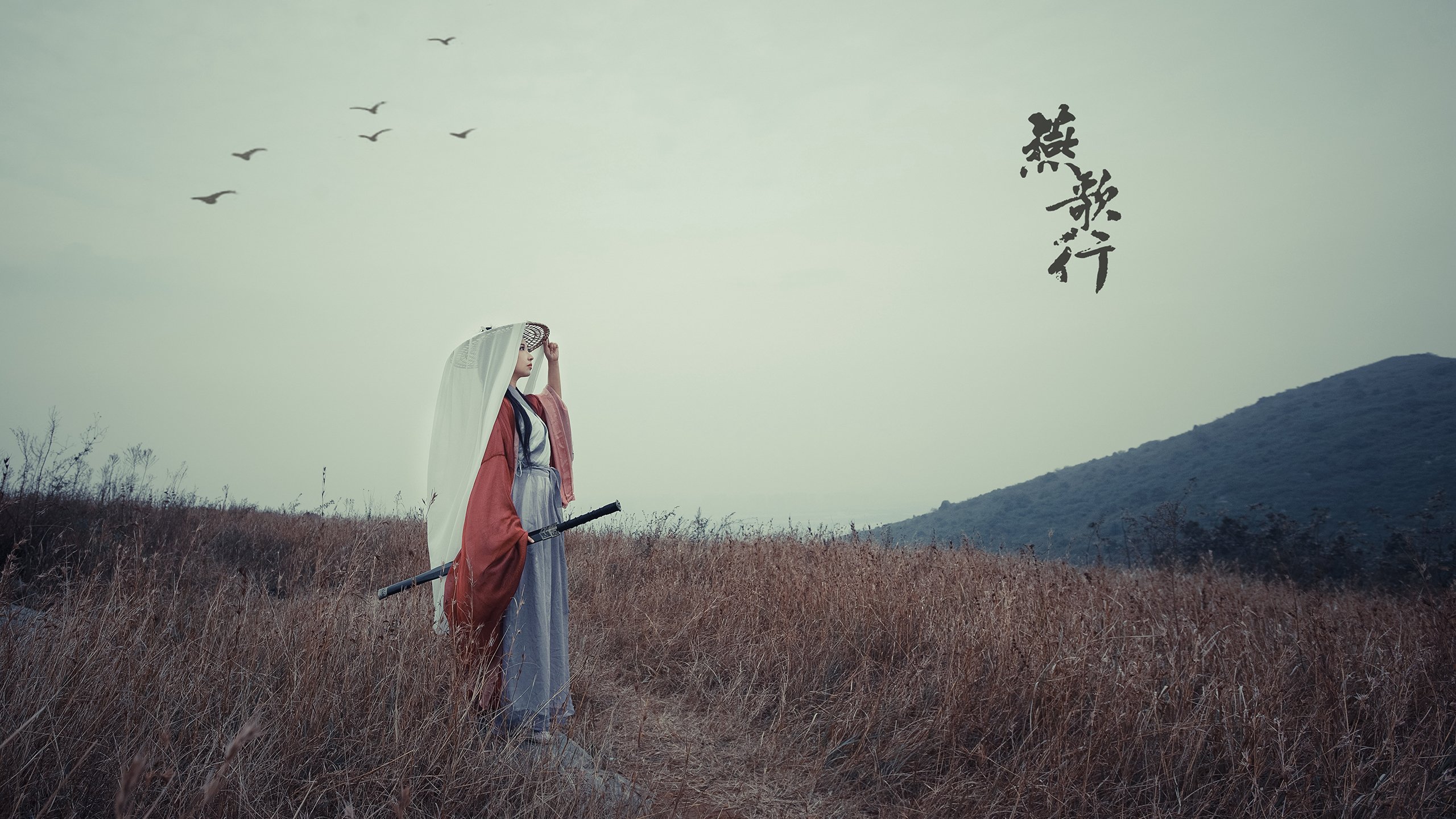 双重舞台，当马刺的团队哲学与范弗利特的接管时刻隔空交响