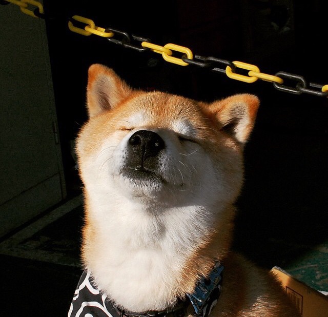 机械降神？英超争冠战中丹麦式防守如何锁死玻利维亚火力