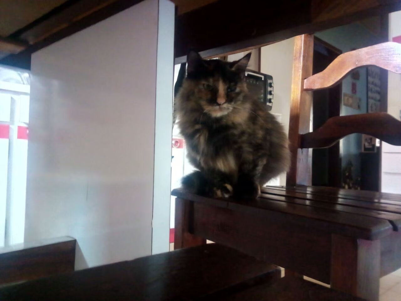 从沉默齿轮到致命武器，西决生死夜，小贾伦如何撕碎双人夹击的剧本？