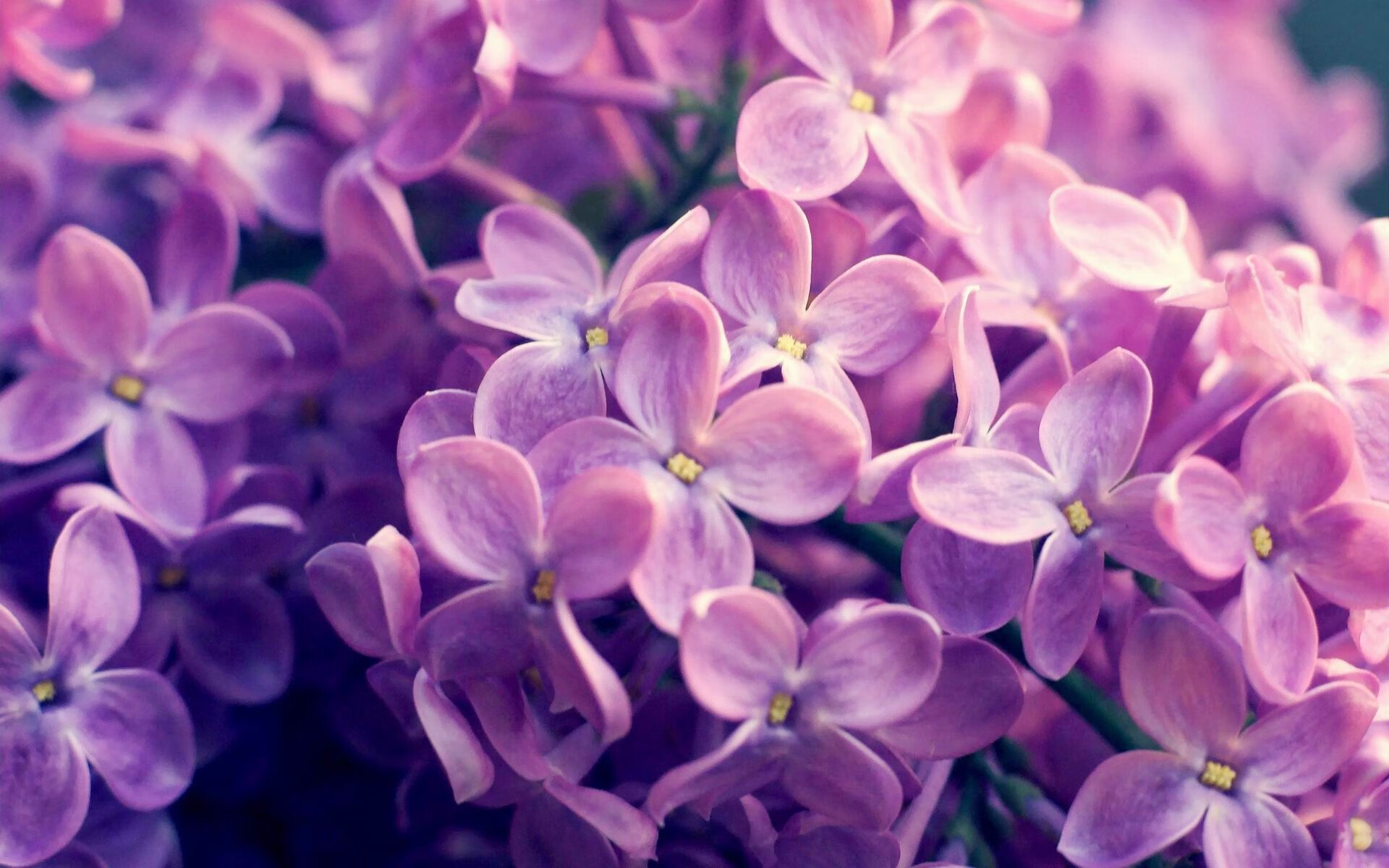 公路狂飙与球场突围,当F1银箭划破巴林夜空,篮网在杭州杀出卫冕冠军重围