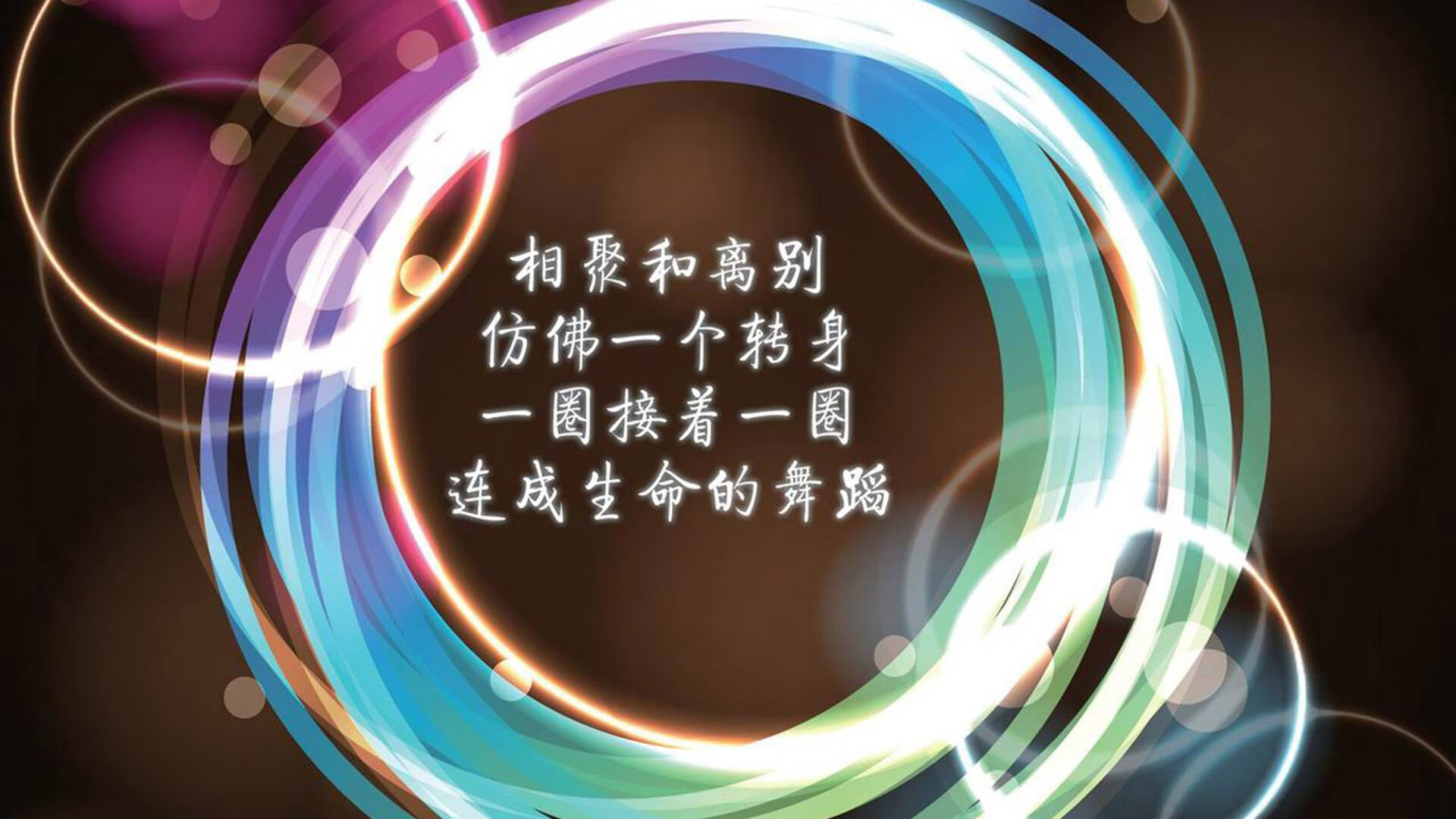 南美猎鹰振翅高飞,厄瓜多尔完胜罗马尼亚,罗德里戈中场统治力闪耀2026世界杯D组