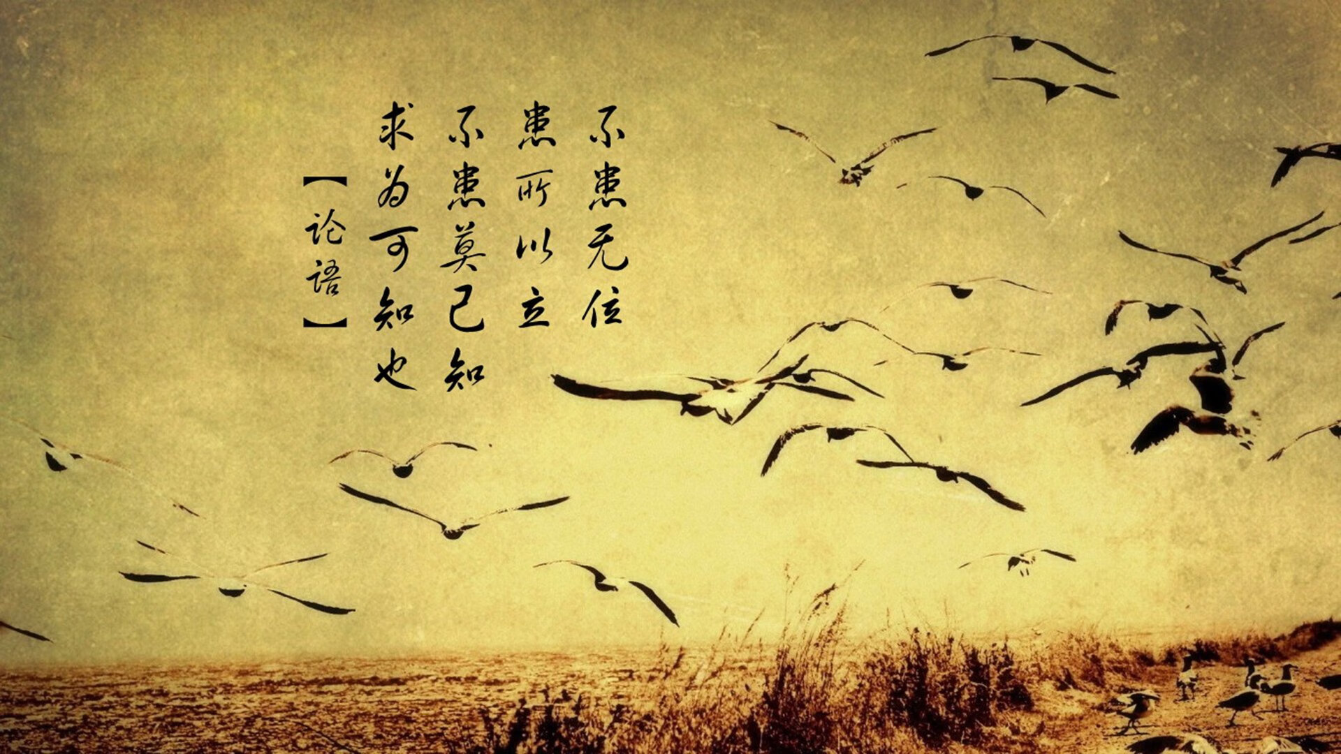 六届轮回，一剑封喉，2026世界杯E组葡萄牙VS波兰，C罗以不朽之躯书写唯一剧本