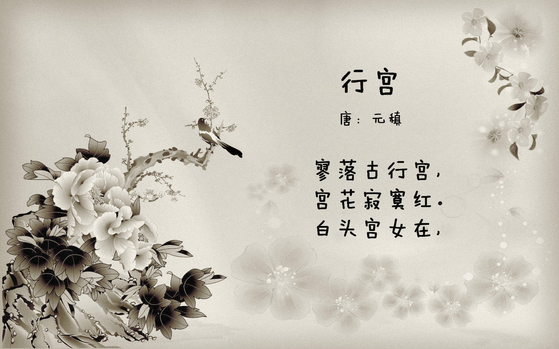 唯一的剧本,当碾压成为史诗,凯恩在加纳的废墟上,为2026世界杯E组写下不可复制的注脚