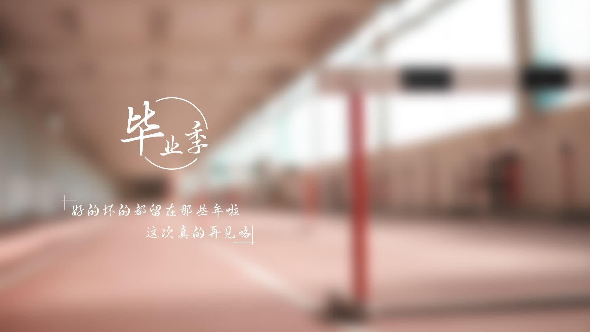 逆转之夜,2026世界杯C组,德国战车以钢铁意志破茧重生,迪亚斯引领防守革命